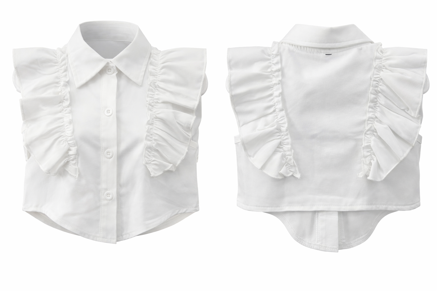 “Little and Demure” Cropped Blouse